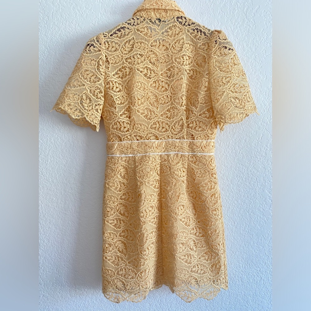Sandro Live yellow embroidered-floral lace mini dress - Picture 3 of 13